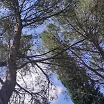 Le Nid Du Rossignol * Nîmes