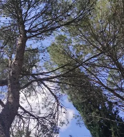 Le Nid Du Rossignol * Nîmes