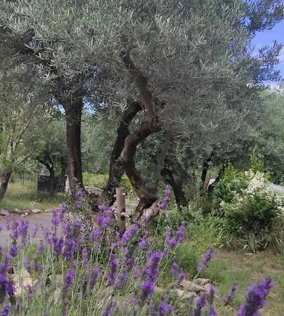 Le Nid Du Rossignol * Nîmes