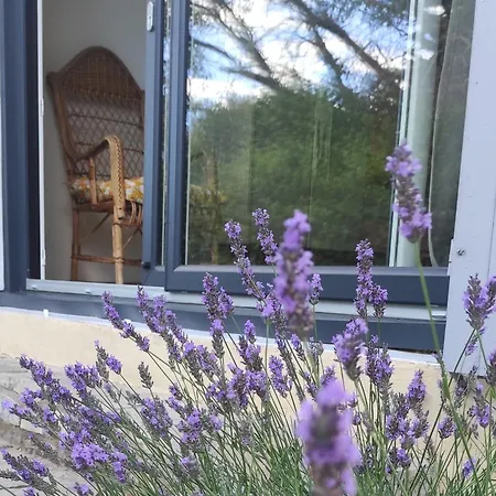 Le Nid Du Rossignol * Nîmes