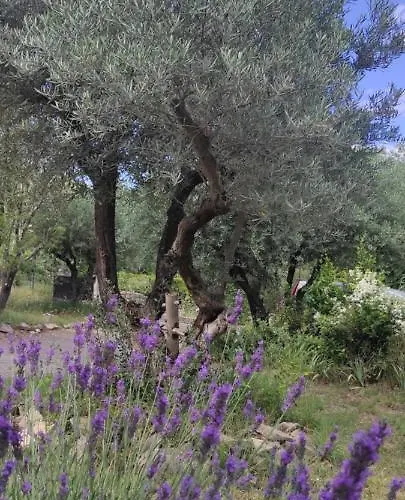 Le Nid Du Rossignol * Nîmes