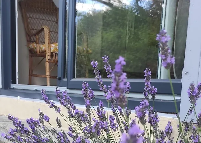 Le Nid Du Rossignol * Ним