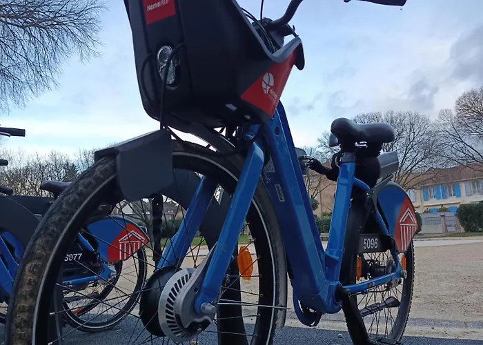 Le Nid Du Rossignol Nîmes